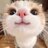 07 || Shakir_Sledovatel