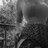 01 || Arsen_Voorhees